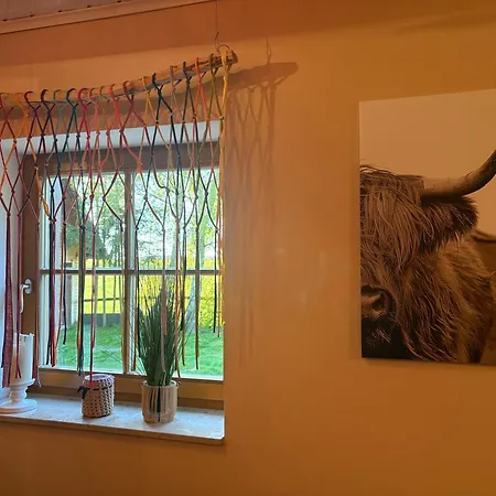 Super Cozy 아파트 Steinfeld (Mecklenburg-Vorpommern)