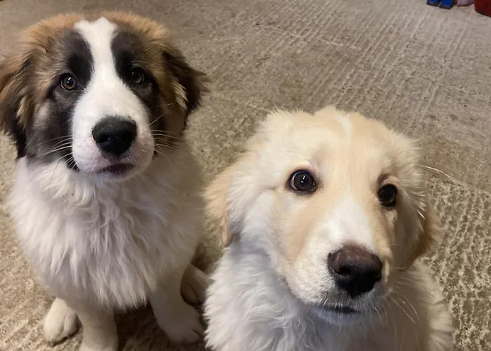 Super Cozy דירה Steinfeld (Mecklenburg-Vorpommern)